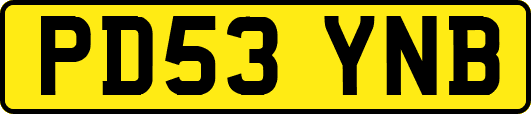PD53YNB