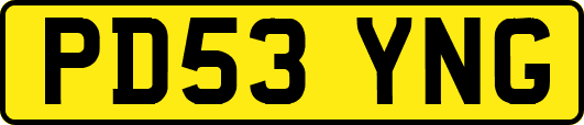 PD53YNG