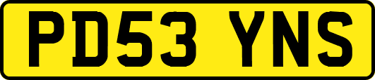 PD53YNS