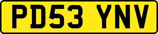 PD53YNV