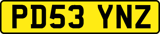 PD53YNZ