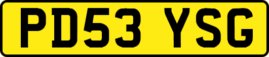 PD53YSG