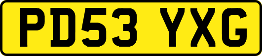 PD53YXG