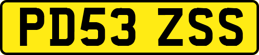PD53ZSS