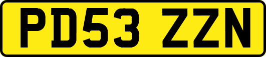 PD53ZZN