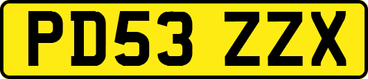 PD53ZZX