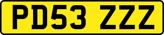 PD53ZZZ