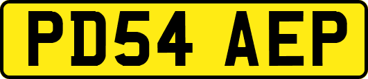 PD54AEP