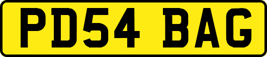 PD54BAG