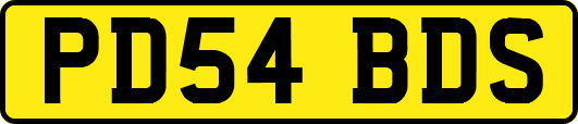 PD54BDS