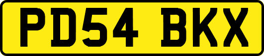 PD54BKX