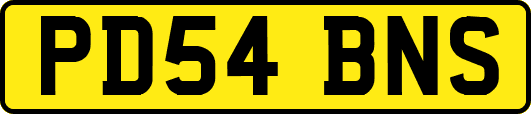 PD54BNS