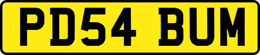 PD54BUM