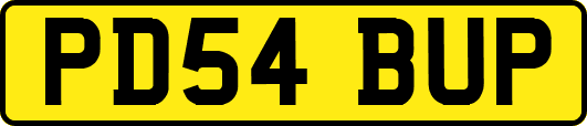 PD54BUP