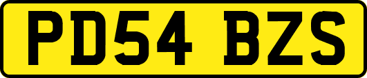 PD54BZS