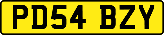 PD54BZY