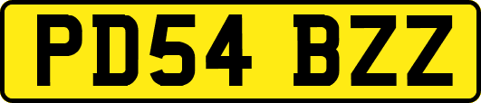 PD54BZZ