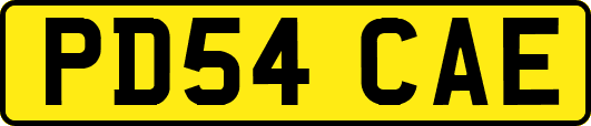 PD54CAE