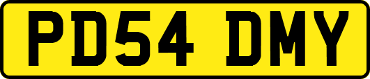 PD54DMY