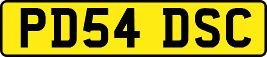PD54DSC