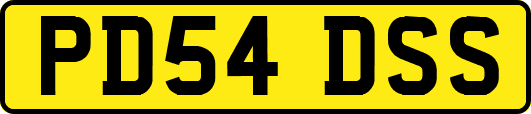 PD54DSS