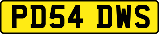 PD54DWS