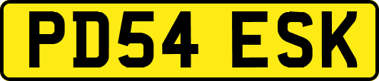 PD54ESK