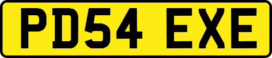 PD54EXE