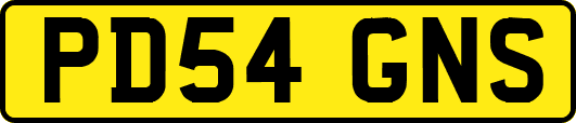 PD54GNS