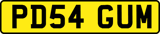 PD54GUM