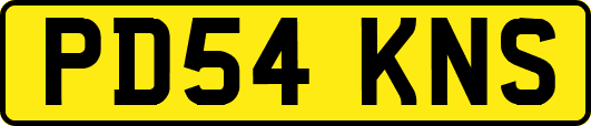PD54KNS