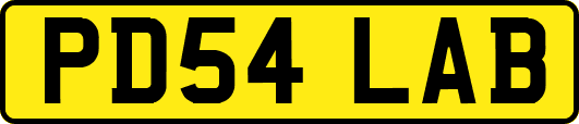 PD54LAB