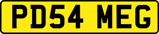 PD54MEG