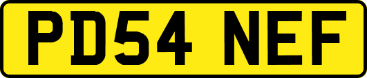 PD54NEF