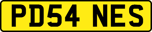 PD54NES