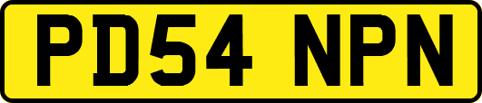 PD54NPN