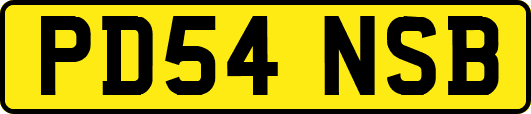 PD54NSB