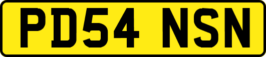 PD54NSN