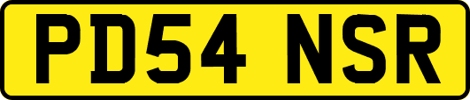 PD54NSR