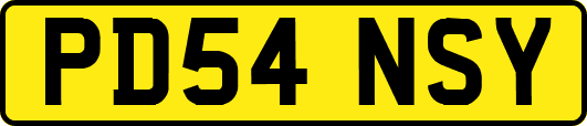 PD54NSY