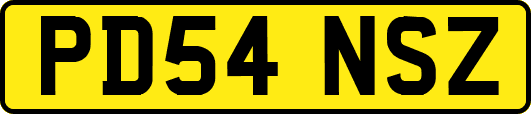 PD54NSZ