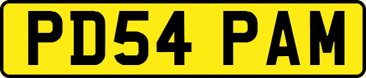 PD54PAM