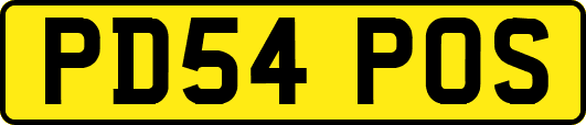 PD54POS