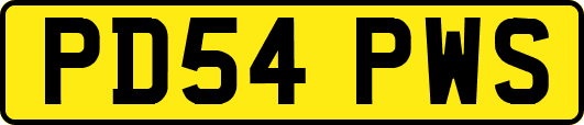PD54PWS