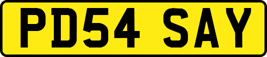 PD54SAY