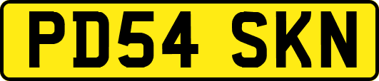 PD54SKN