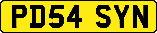 PD54SYN
