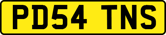 PD54TNS