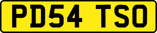 PD54TSO