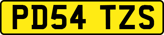 PD54TZS
